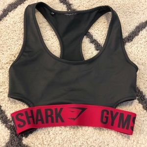 Cranberry Fit Sports Bra